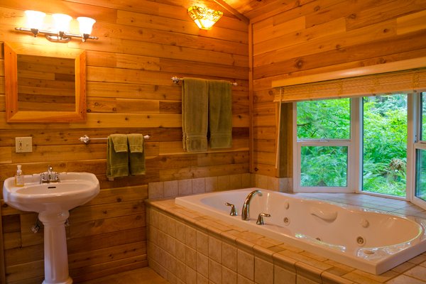 Ванна кімната в деревяному будинку