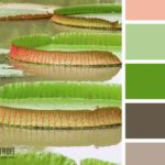 Вдале поєднання кольорів в інтерєрі: таблиця як інструмент правильного підбору Вдале поєднання кольорів в інтерєрі: таблиця як інструмент правильного підбору