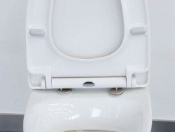 Кришки для унітазу: з мікроліфтом, дитячим сидінням, електронним управлінням. Як вибрати