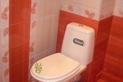 Облицювання туалету плиткою: комфортабельність і зручність Облицювання туалету плиткою: комфортабельність і зручність