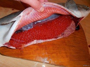 Сонник Риба з Ікрою до чого сниться Ікра риби жінці дівчині бачити уві сні Сонник Риба з Ікрою до чого сниться Ікра риби жінці дівчині бачити уві сні