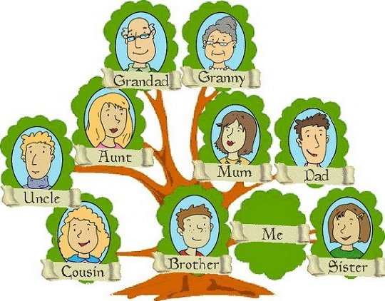 Сімя англійською мовою або «А не скласти нам Family Tree?»