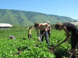 Сонник Полоти: грядки буряни город бачити уві сні до чого сниться?