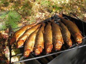 До чого сниться Копчена Риба сонник Копчена Риба: є, запах, без голови бачити уві сні