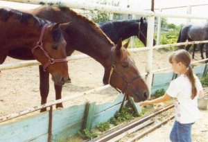 Сонник Кінь Коричнева до чого сниться Кінь Коричнева дівчині, жінці: їхати, скакати, бачити уві сні