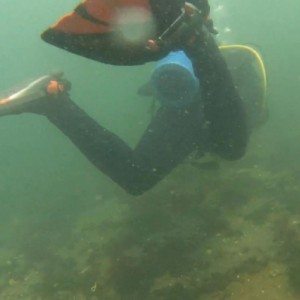 Сонник плавати у воді До чого сниться плавати у воді бачити уві сні