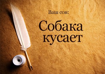 Сонник Собака Кусає бачити уві сні до чого сниться?