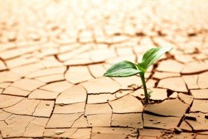 Сонник вода, до чого сниться Вода в будинку, басейні, ванної бачити уві сні