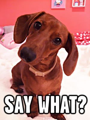 Питальні займенники в англійській мові – позначення з прикладами