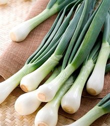 Сонник Зелений Лук до чого сниться Зелений Лук на грядці: рвати, бачити уві сні Сонник Зелений Лук до чого сниться Зелений Лук на грядці: рвати, бачити уві сні