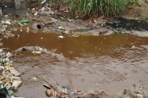 Сонник змії у воді, до чого сняться змії у воді плавають бачити уві сні