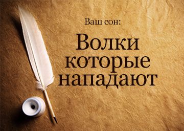 Сонник вовки нападають До чого сняться Вовки які нападають: кусають за руку ногу, агресивні
