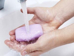 Сонник Мило господарське, туалетне бачити уві сні до чого сниться