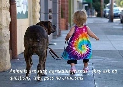 Вказівні займенники в англійській мові – значення з прикладами