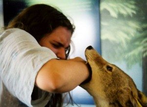 Сонник яка Собака кусає за руку, ногу до чого бачити уві сні