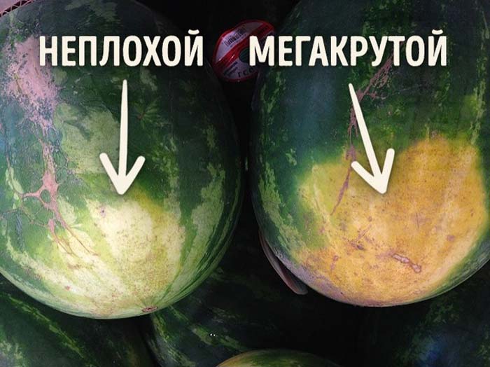 Як правильно вибрати стиглий кавун, солодкий і без нітратів + відео