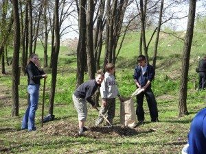 Сонник прибирати сміття до чого сниться Прибирати Сміття: на вулиці, будинку, квартирі бачити уві сні
