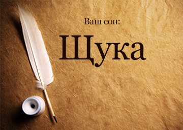 Сонник Щука до чого сниться зловити Щуку велику: чоловікові, жінці бачити уві сні