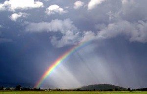Сонник Дощ уві сні йде до чого сниться?