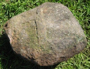 Що потрібно робити щоб погано сон не збувся? змова!