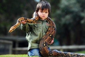 До чого сниться Змія яка намагалася хоче Вкусити сонник Змія уві сні