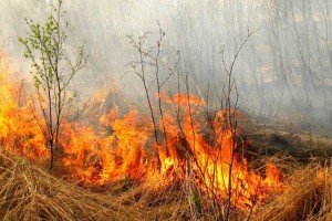 Сонник Вогнище розпалювати бачити уві сні до чого сниться?