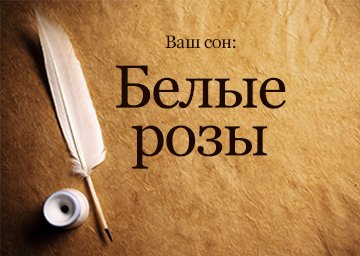 Сонник Білі Троянди до чого сниться букет Білих Троянд дарують дівчині, жінці бачити уві сні