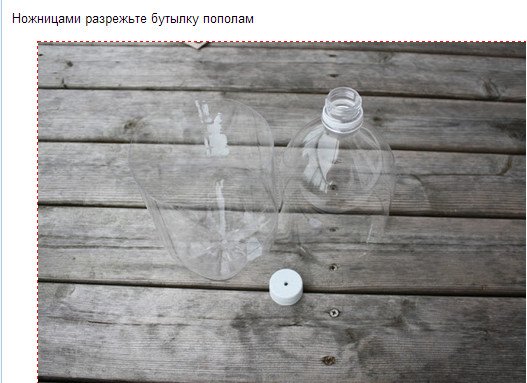 Садимо розсаду у пластикові пляшки з автополиву