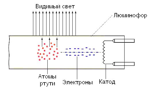 Енергозберігаючі лампи: види і принцип роботи