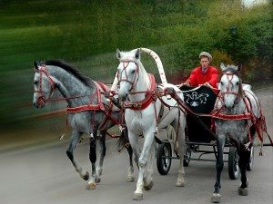 Сонник Коня до чого сниться Кінь що означає бачити в сні по Міллеру, Вангу