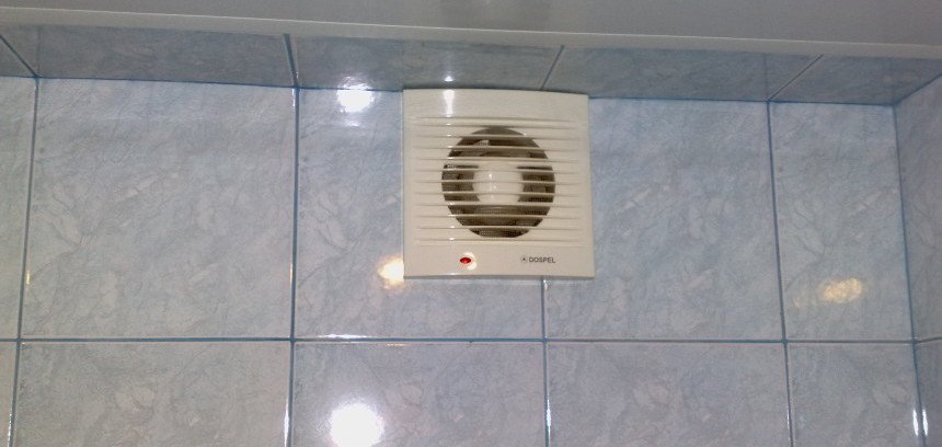 Як позбутися від грибка у ванній раз і назавжди – секрети фахівців Як позбутися від грибка у ванній раз і назавжди – секрети фахівців