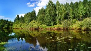 Сонник Річка з чистою водою бачити уві сні до чого сниться?