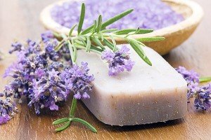 Сонник Мило господарське, туалетне бачити уві сні до чого сниться