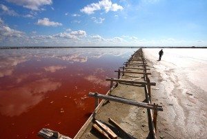 Сонник Море до чого сниться Море: брудне, розбурхане, холодне, зарезшее, синє, пірнати, тонути, бачити уві сні