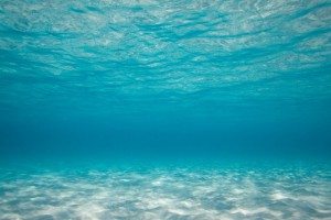 Сонник Океан до чого сниться чистий Океан з блакитною водою і хвилями: бурхливий бачити уві сні