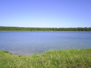 Сонник Потопельник до чого сниться Потопельник: мужичина, жінка, чоловік чи дитина у воді багато бачити уві сні