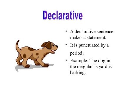 Типи речень в англійській мові – основні види з прикладами