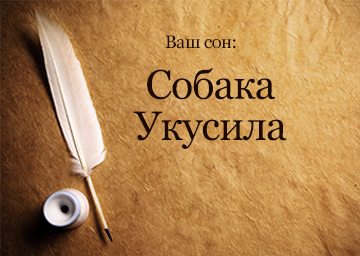 Сонник Вкусила собака до чого сниться Вкусила собака за руку, ногу, палець: намагається бачити в сні
