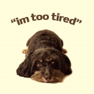 Поліглот   11 урок англійської присвячений ключовим дієсловам