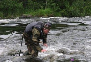 Сонник Щука до чого сниться зловити Щуку велику: чоловікові, жінці бачити уві сні