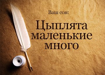 Сонник маленькі курчата до чого сняться курчата і каченята маленькі жовті жінці багато бачити уві сні