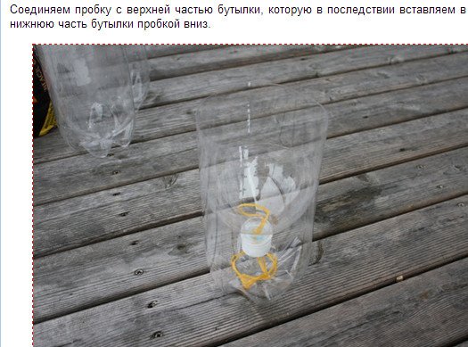 Садимо розсаду у пластикові пляшки з автополиву