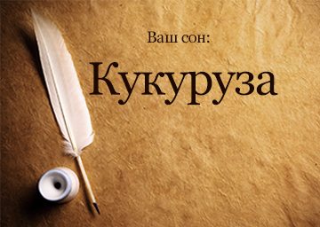 Сонник Кукурудза до чого сниться Кукурудза в качана: варена, жовта бачити уві сні