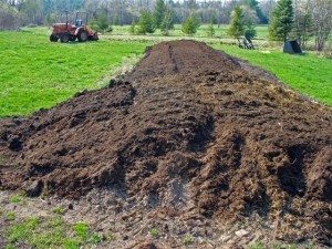 Сонник Какашки бачити уві сні до чого сняться? Сонник Какашки бачити уві сні до чого сняться?