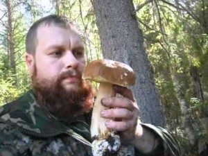 Сонник гриби збирати білі до чого сниться гриби збирати білі бачити уві сні Сонник гриби збирати білі до чого сниться гриби збирати білі бачити уві сні