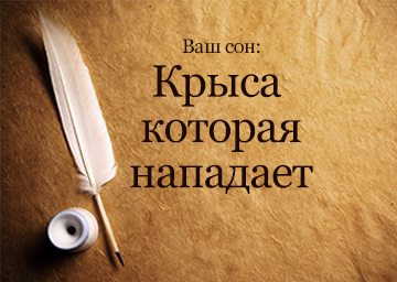 Сонник Щур нападає до чого сниться нападниця Щур бачити уві сні Сонник Щур нападає до чого сниться нападниця Щур бачити уві сні