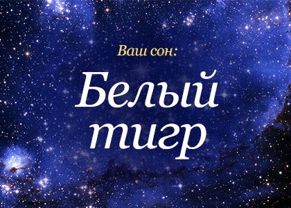 Сонник Білий тигр до чого сниться Білий або Чорний Тигр бачити уві сні