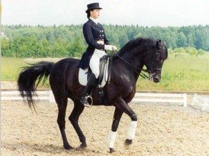 Сонник чорна Кінь до чого сниться чорна красива Кінь дівчині бачити уві сні