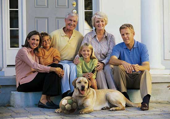 Присвійні займенники в англійській. Вправи