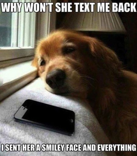 Поліглот, 14 урок – англійська спеціальний питання з who